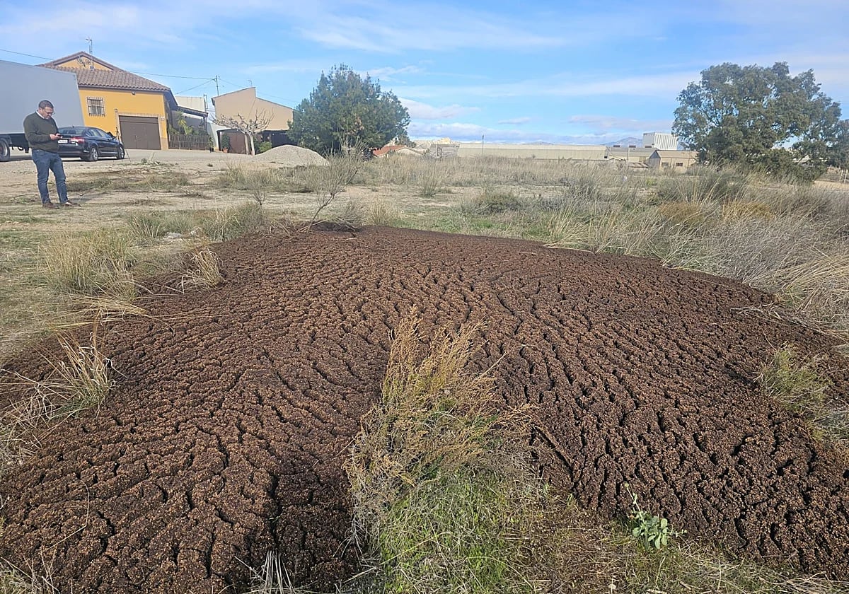 Vertidos en un paraje de la diputación lorquina de de Río