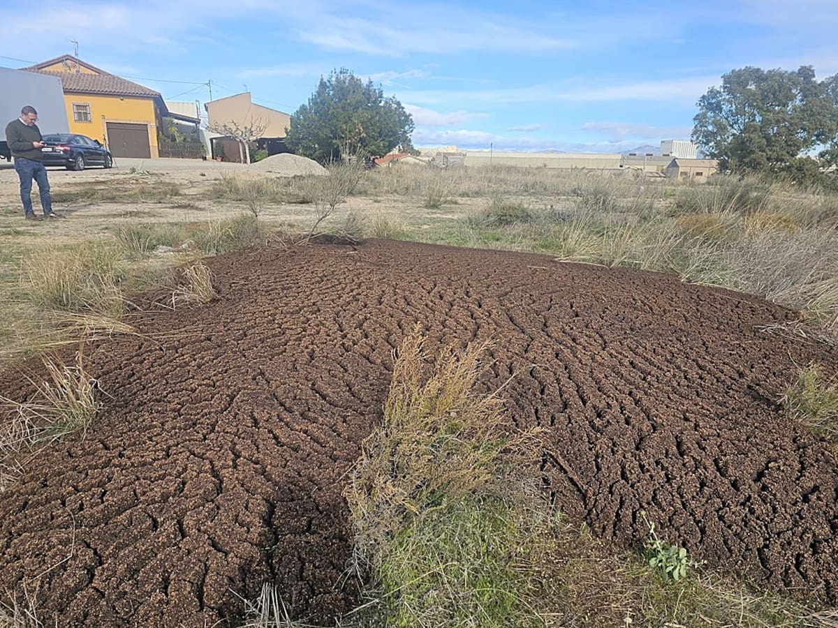 Vecinos de la Diputación lorquina de Río denuncian un vertido ilegal de residuos de almazara