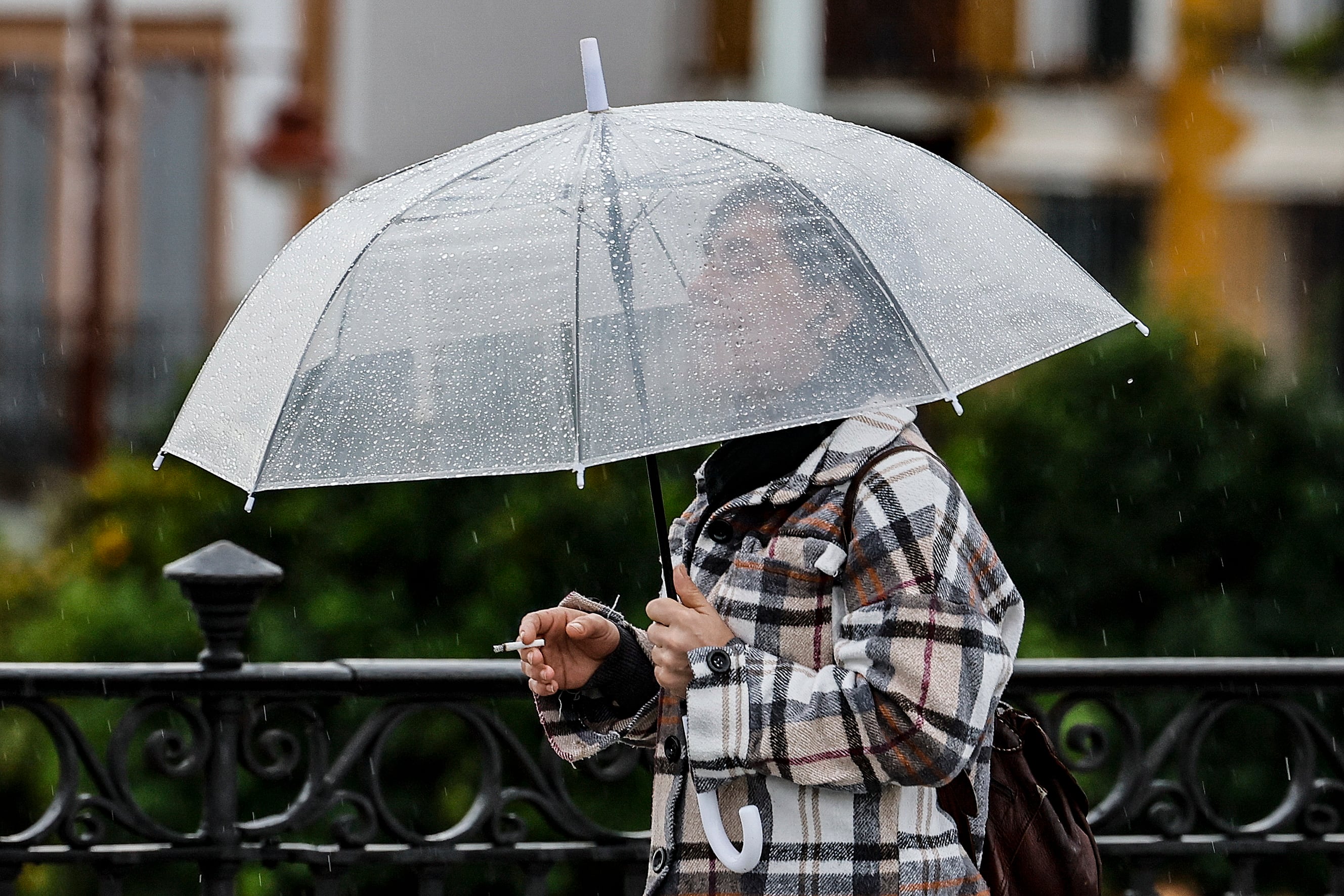 GRAFAND4617. SEVILLA, 14/11/2024.- La Agencia Estatal de Meteorología (Aemet) mantiene la alerta naranja por lluvias en la provincia sevillana. EFE /José Manuel Vidal
