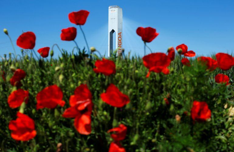 Una de las torres de Abengoa en Sanlúcar la Mayor. 