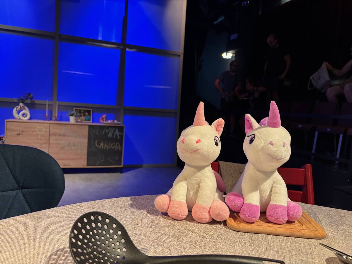 ENTREVISTA. Els Plans