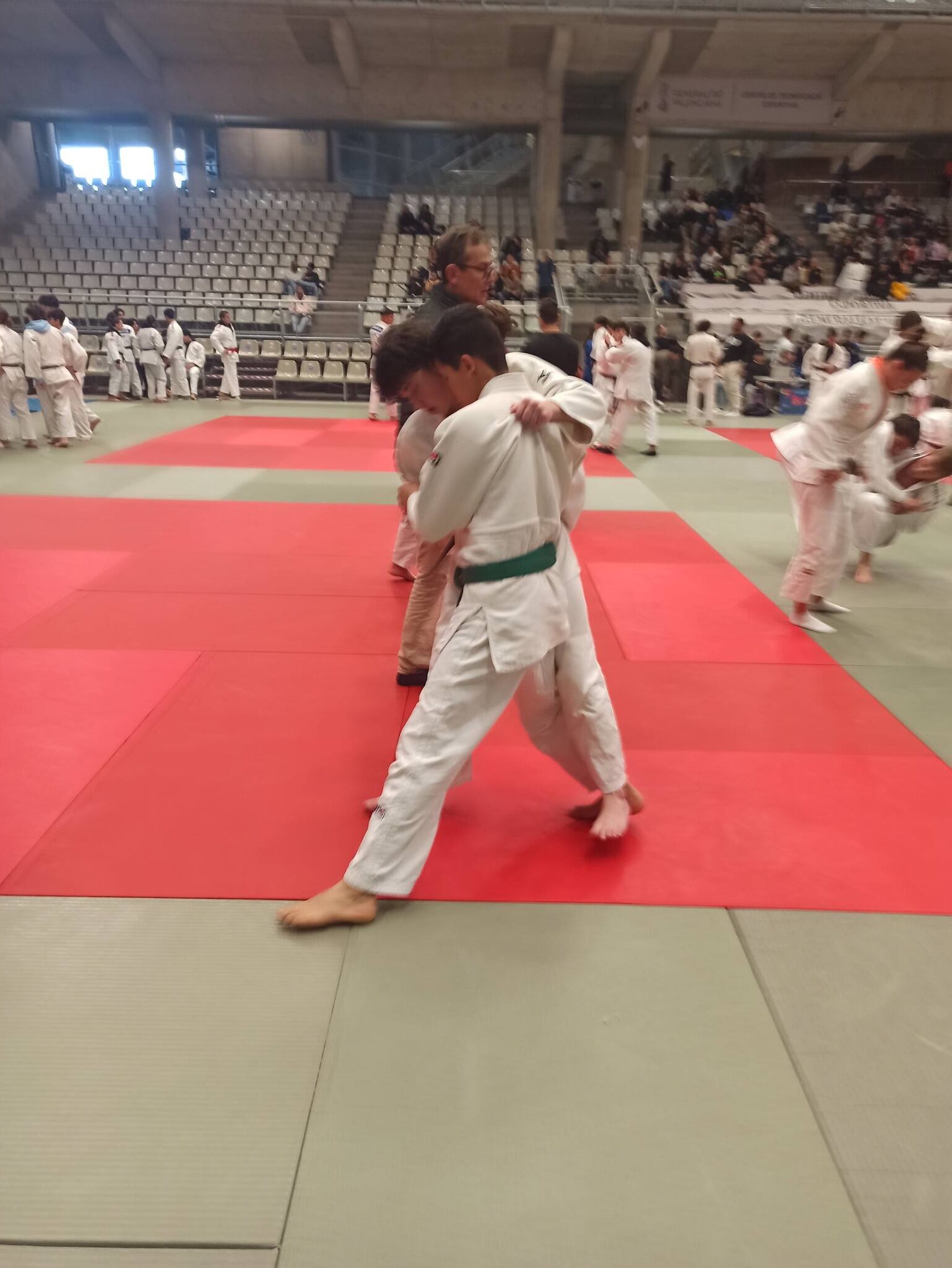 Judo Camv en Alicante