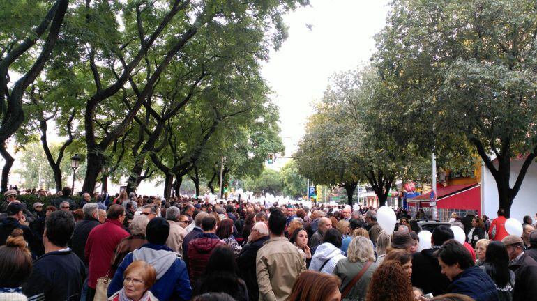 Manifestación por la sanidad pública en Huelva.