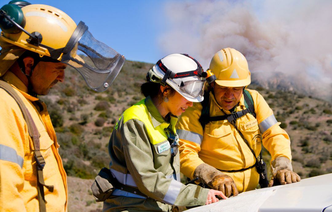 Técnicos del INFOCA