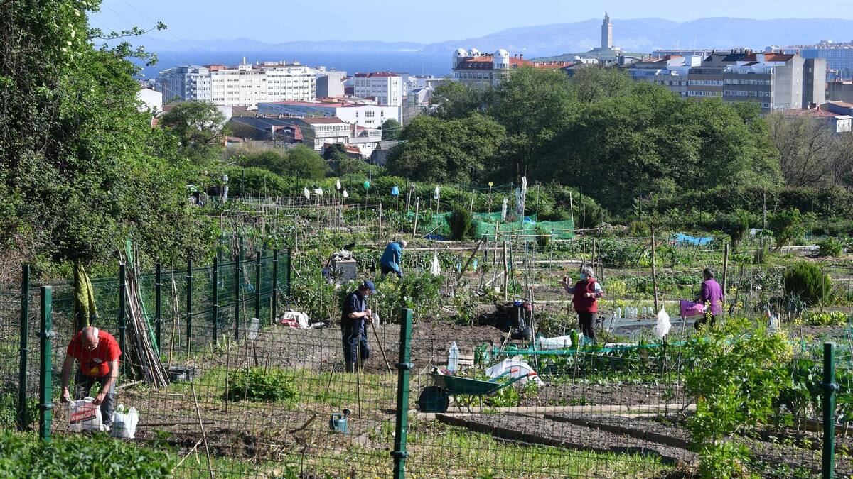 El Concello de A Coruña acometerá mejoras en las huertas urbanas