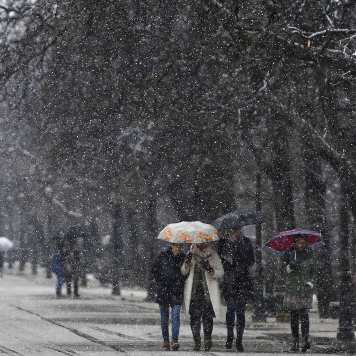 Winter is coming... también para los mayores