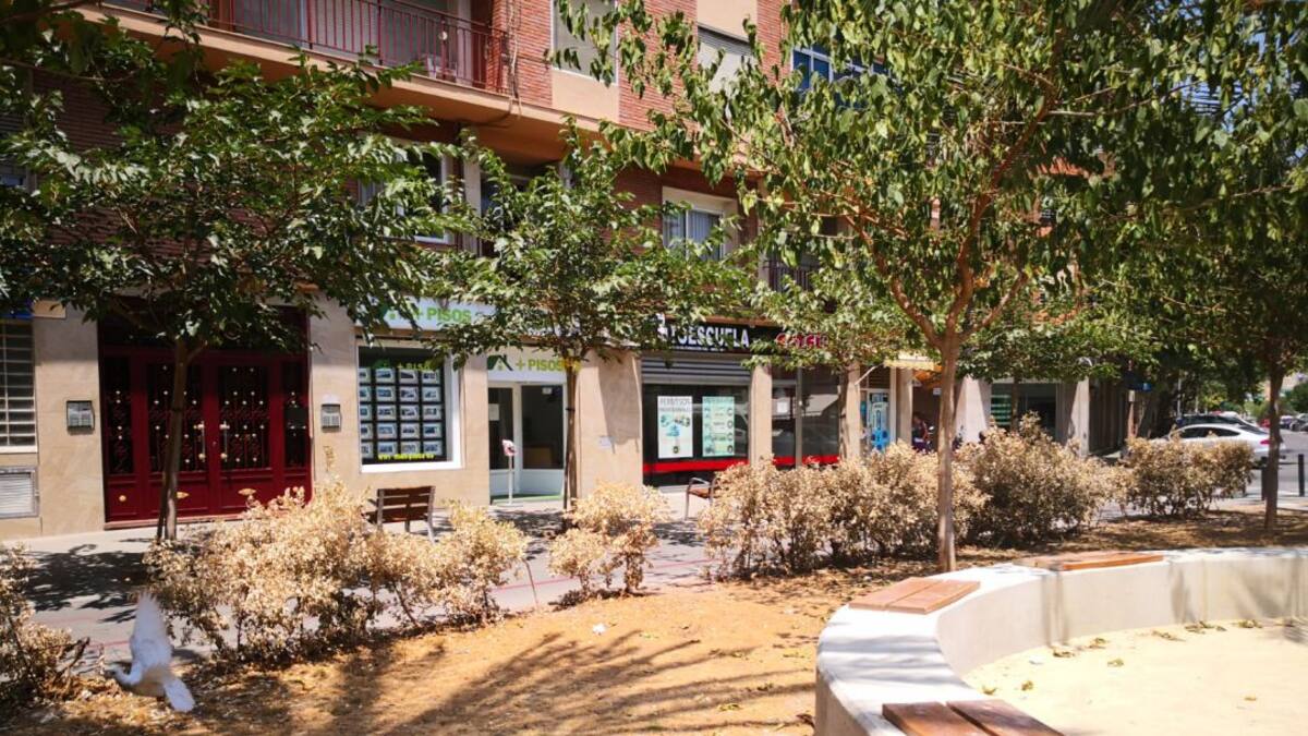 Los vecinos del Plá denuncian la dejadez del Ayuntamiento con respecto al mantenimiento de la Plaza Estella