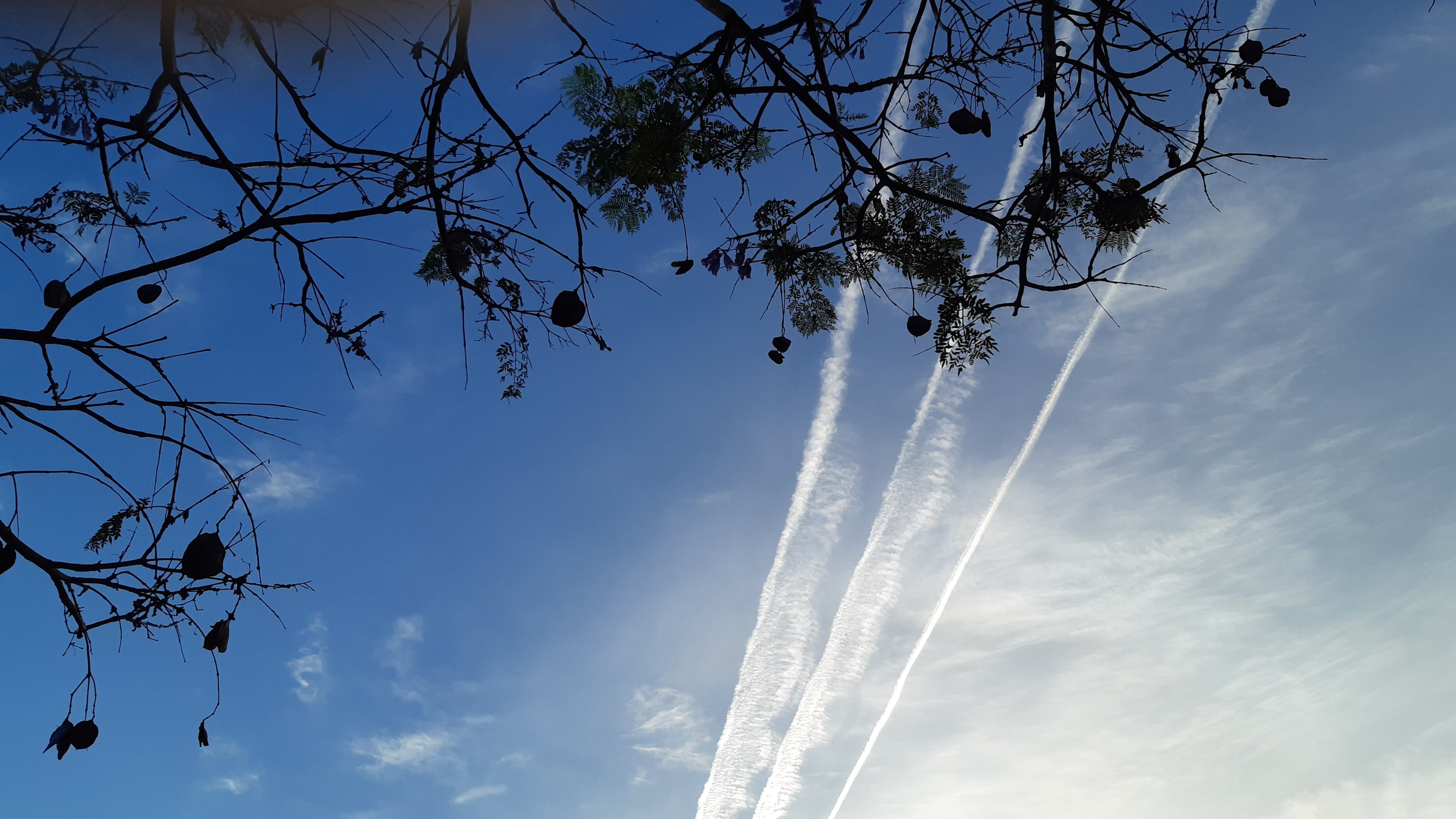 Estelas de tres aviones.