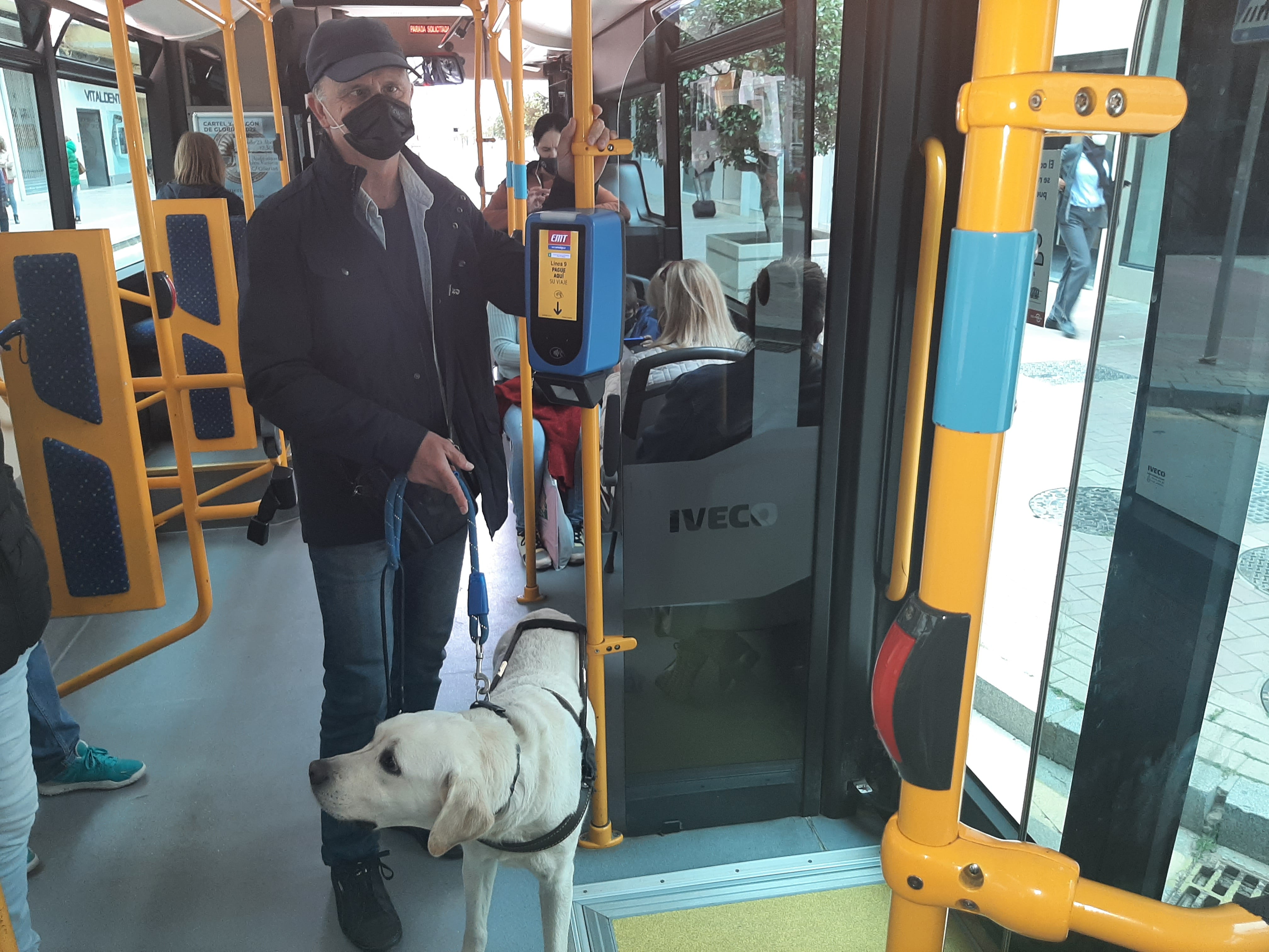 Uno de los perros guía en un autobús de Málaga capital
