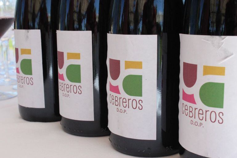 Botellas pertenecientes a la D.O.P Vino de Calidad de Cebreros