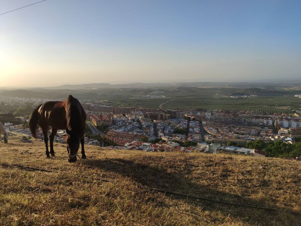 Fundación Estrategias implanta una herramienta digital para el desarrollo sostenible