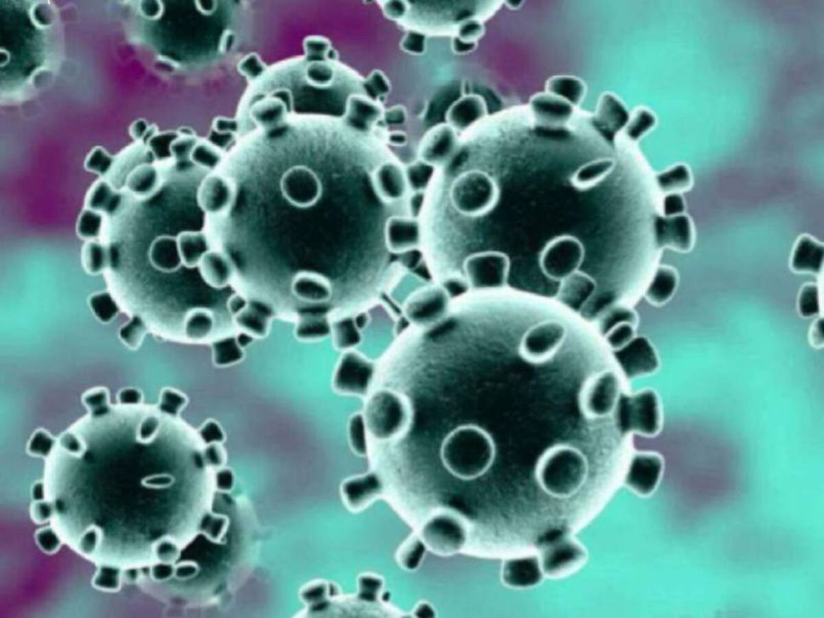 Coronavirus en Palencia: fuerte bajada de la incidencia con alta ocupación UCI