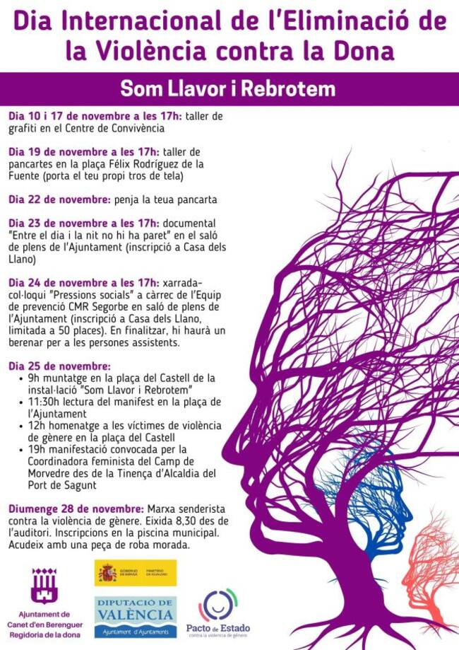 Programa del Día Internacional de la Eliminación de la Violencia contra la Mujer