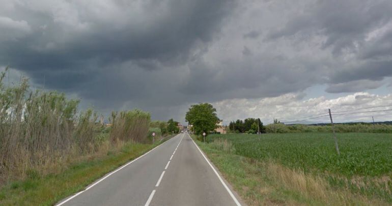 Un tram de la carretera entre Verges i Torroella de Montgrí.