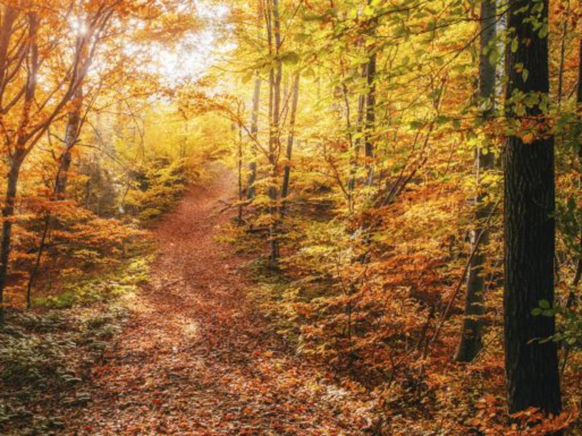 Un invierno más cálido y con menos precipitaciones en Castilla-La Mancha
