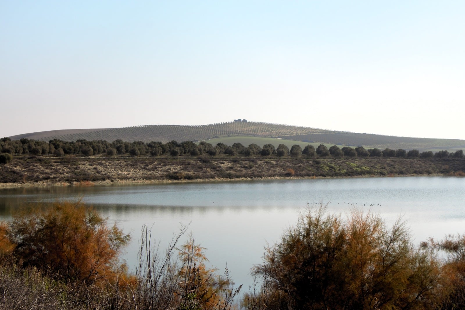 Recorrido de la Vía Verde por la Sierra de Cádiz