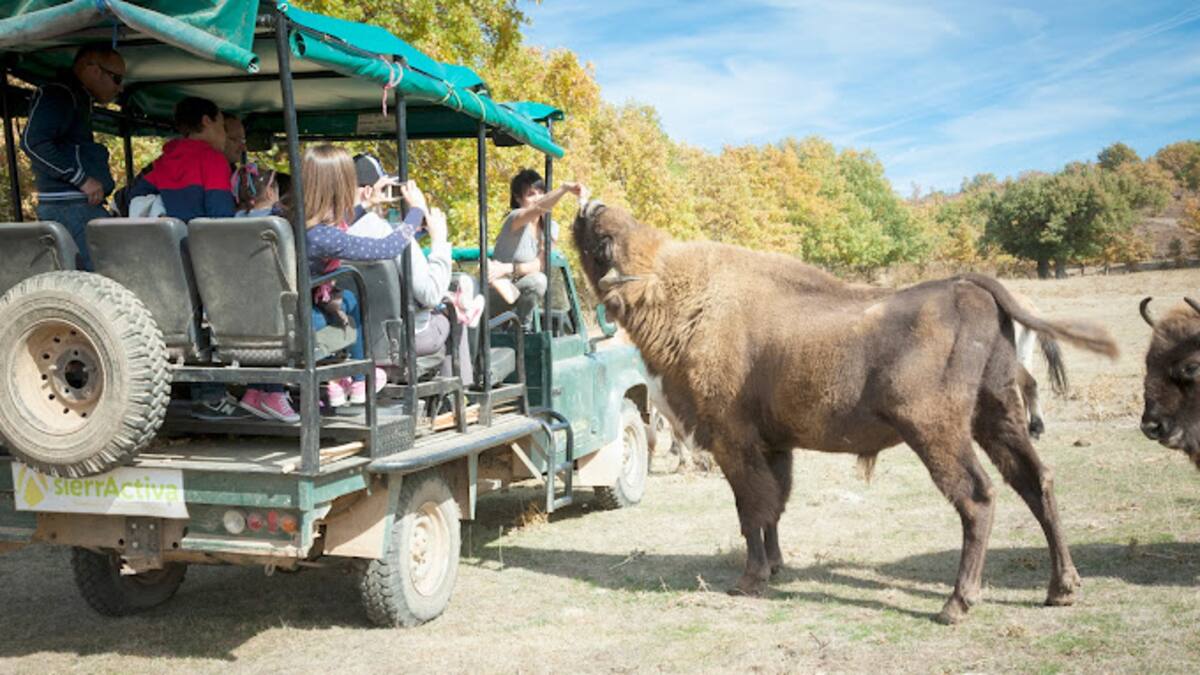 Paleolítico Vivo, a la espera de la autorización de la Junta para ampliar su extensión