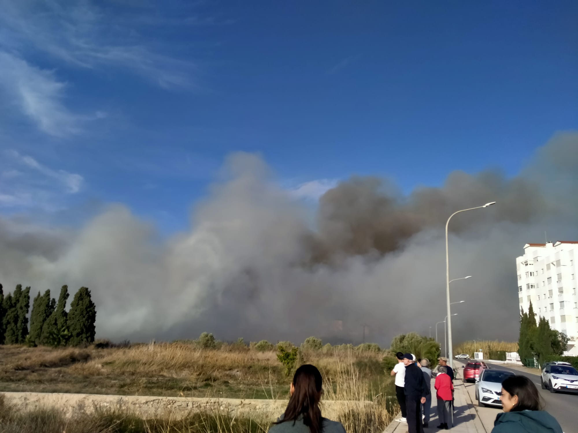 Incendio en la Marjal de El Puig hace pocas semanas.