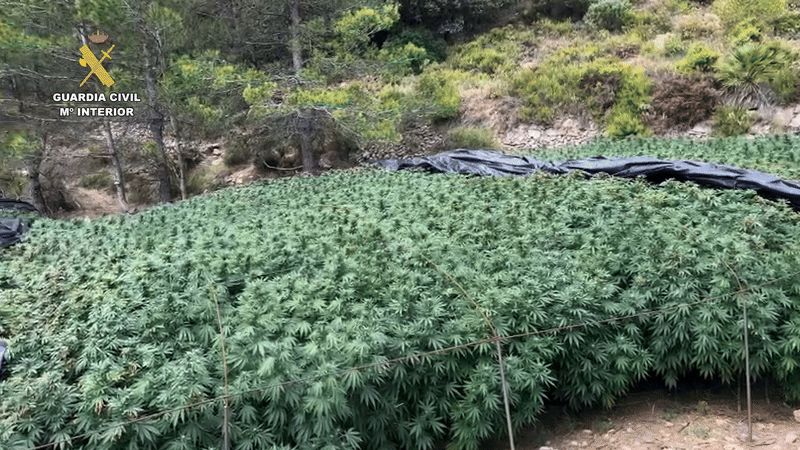 Operación en Bicorp (Fuente: Guardia Civil)