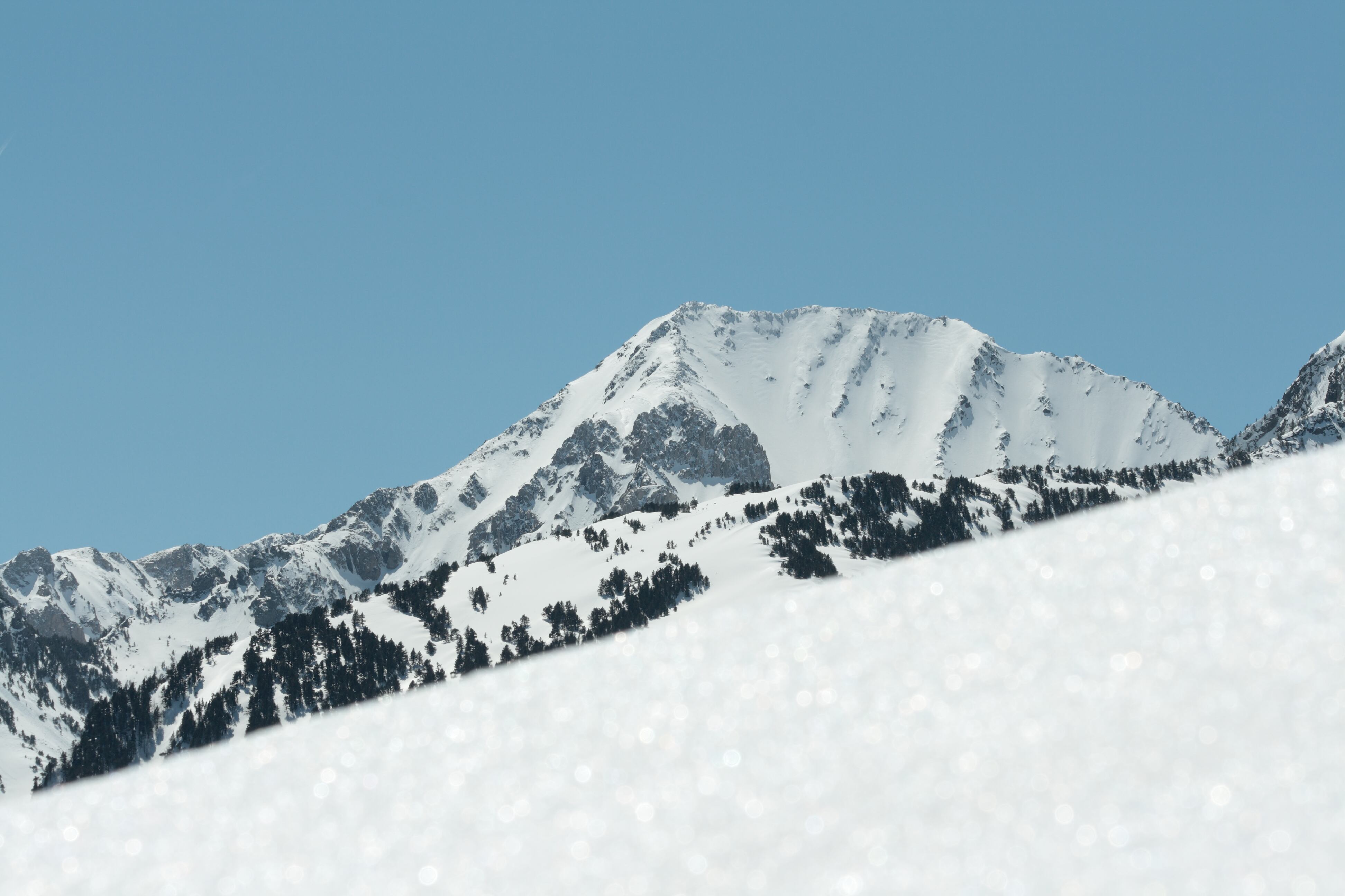 Encuentran un cuerpo que podría ser de uno de los catalanes que desaparecieron en diciembre.