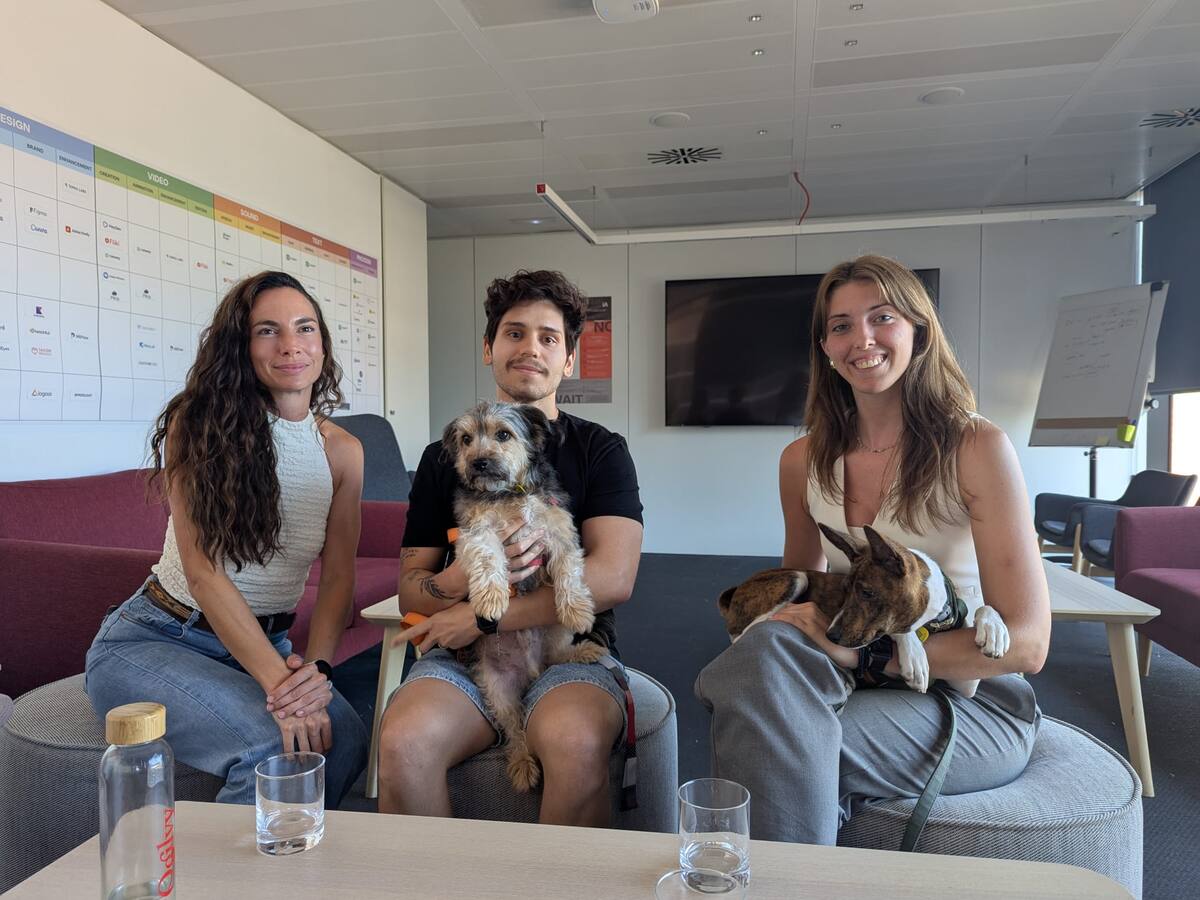 Portar el gos a l'oficina: "És bo per la persona i molt bo per l'animal"