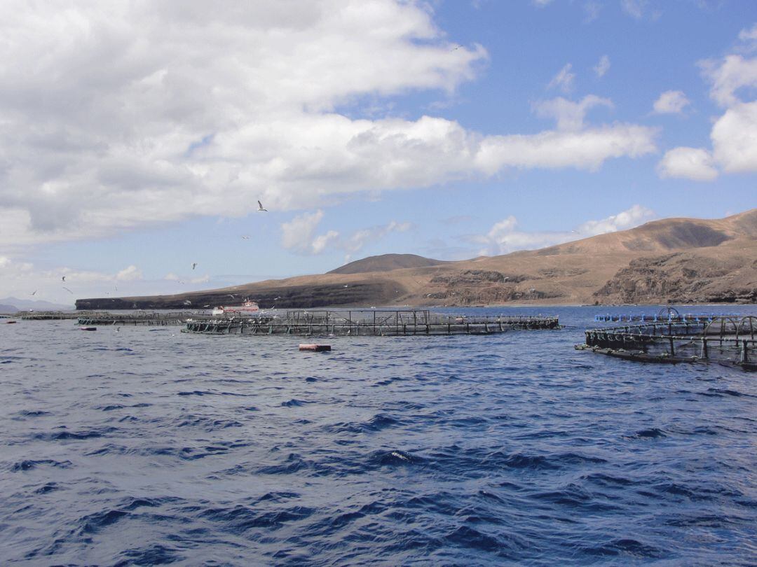 Trece playas, de las que cinco tienen bandera azul, se verían afectadas por la instalación de jaulas para la explotación animal intensiva.