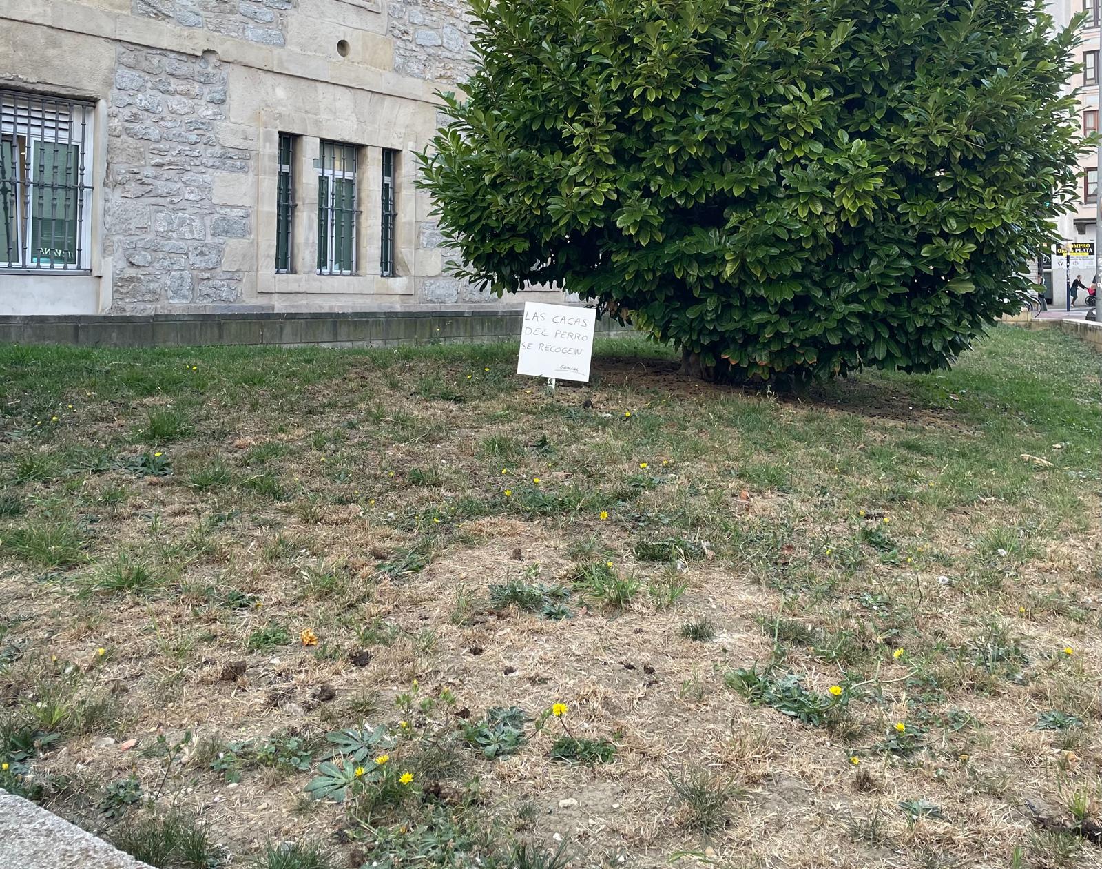 Heces de perro en Santiago