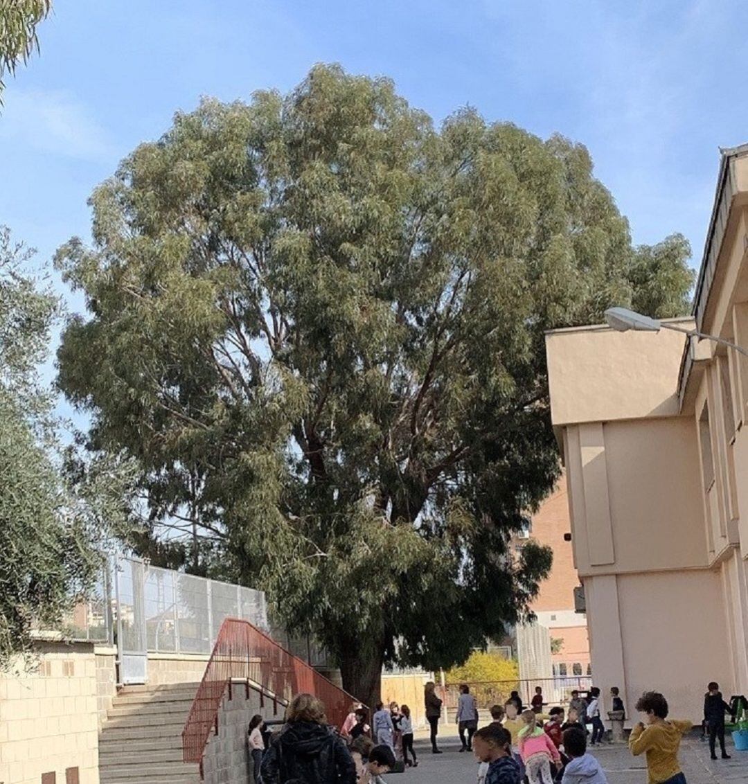 Niños jugando en el patio del CEIP El Palmeral que se va a renovar en Semana Santa con fondos municipales