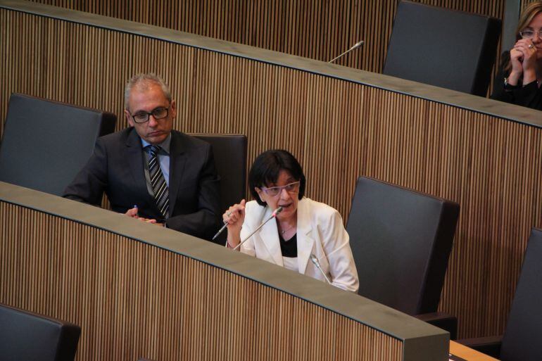 Rosa Ferrer en seu parlamentària. La ministra ha posat el seu càrrec a disposició del cap de Govern qui encara no s'ha pronunciat al respecte.