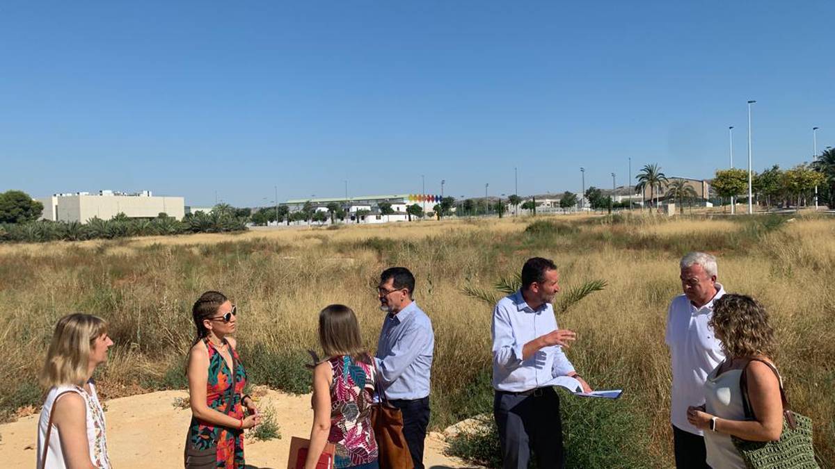 Terrenos conservatorio Elche