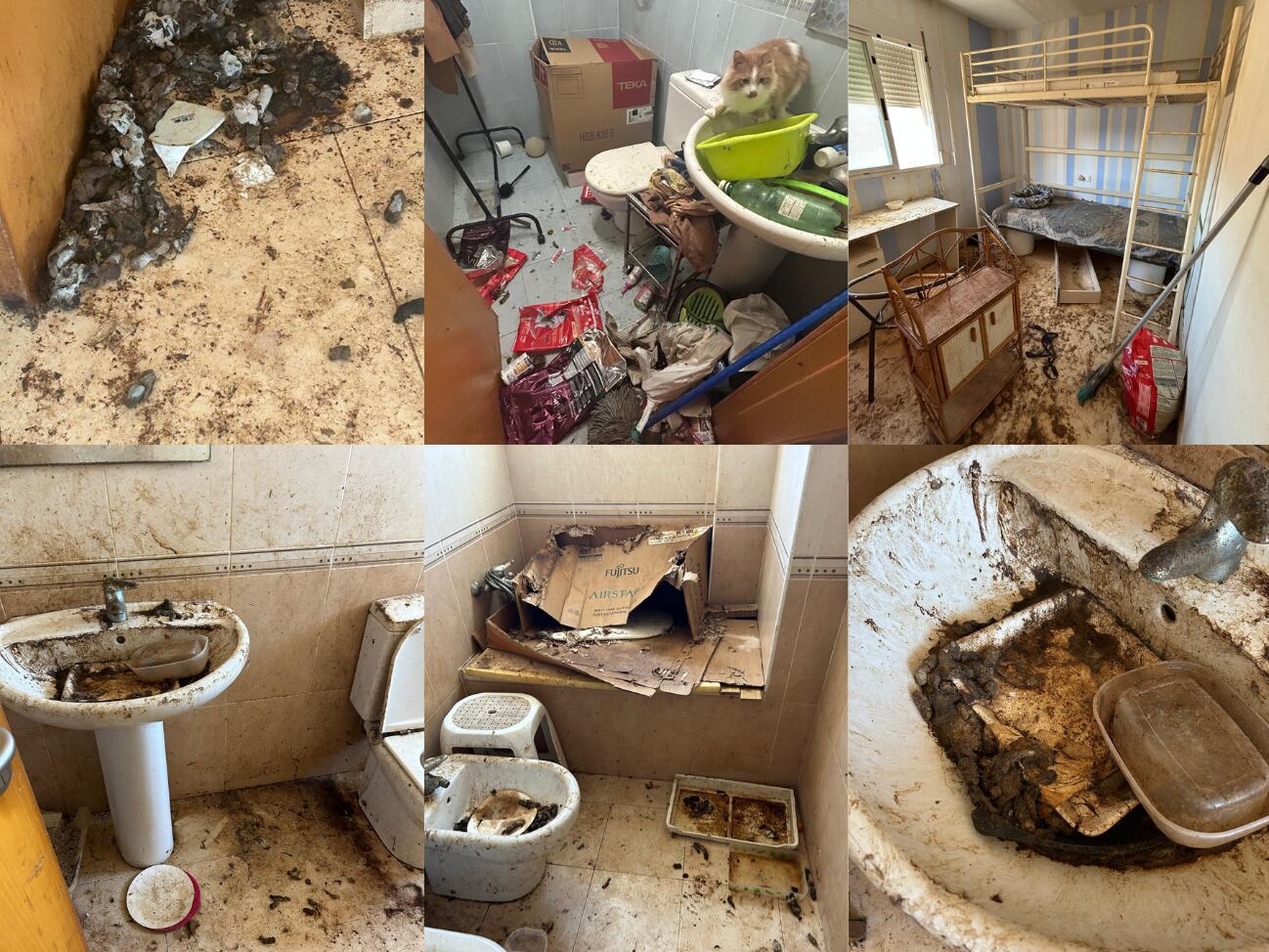 Estado de la vivienda de Moncofa que estuvo okupada durante 5 años y que su propietaria consiguió recuperar.