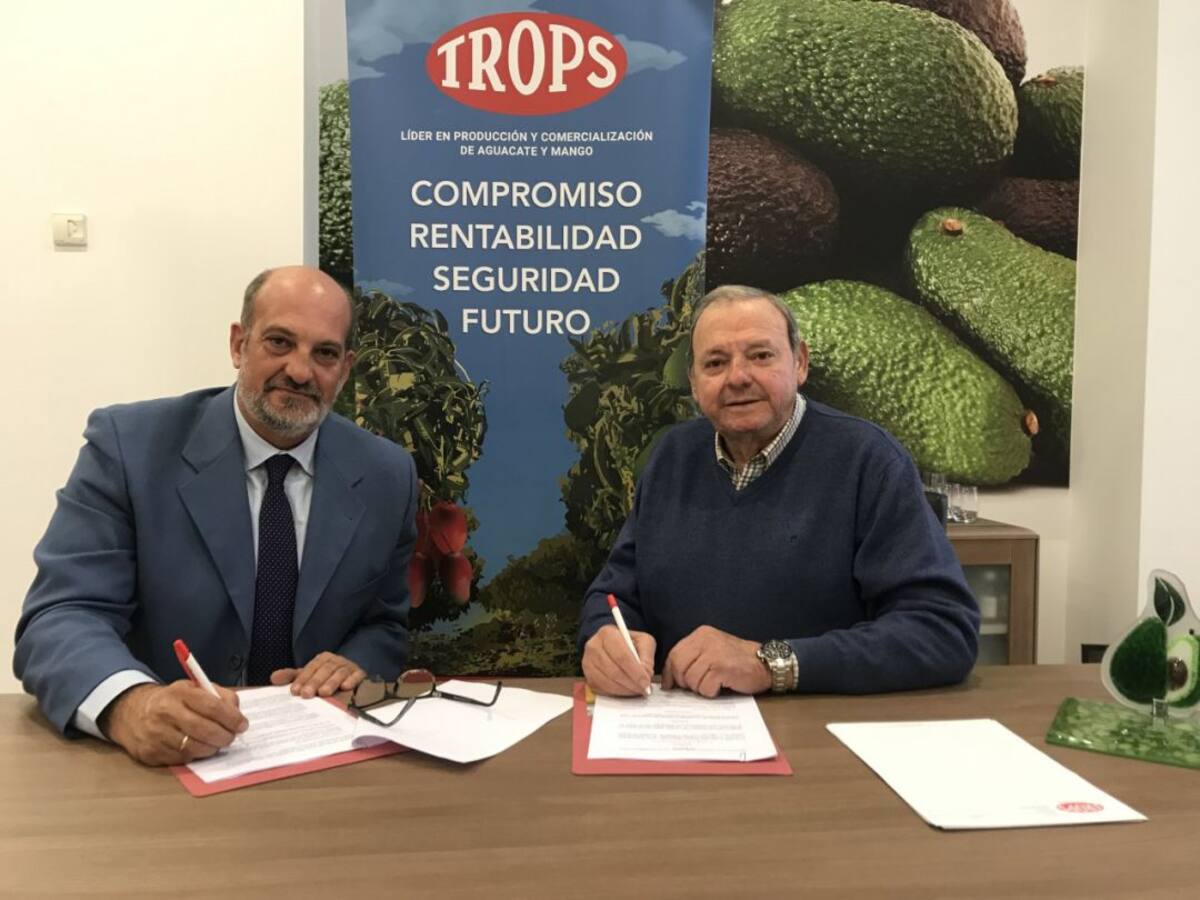 El Trops Málaga pide que acabe la competición