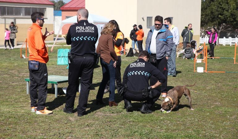 Fuenlabrada contará con una unidada canina contra maltrato, abanodno y otra cuestiones relacionadas con animales.