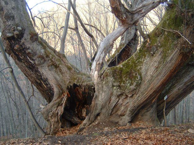 Aspecto del Campano antes del temporal
