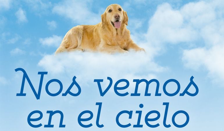 &quot;Nos vemos en el cielo&quot;, manifestaciones después de la vida de nuestras mascotas