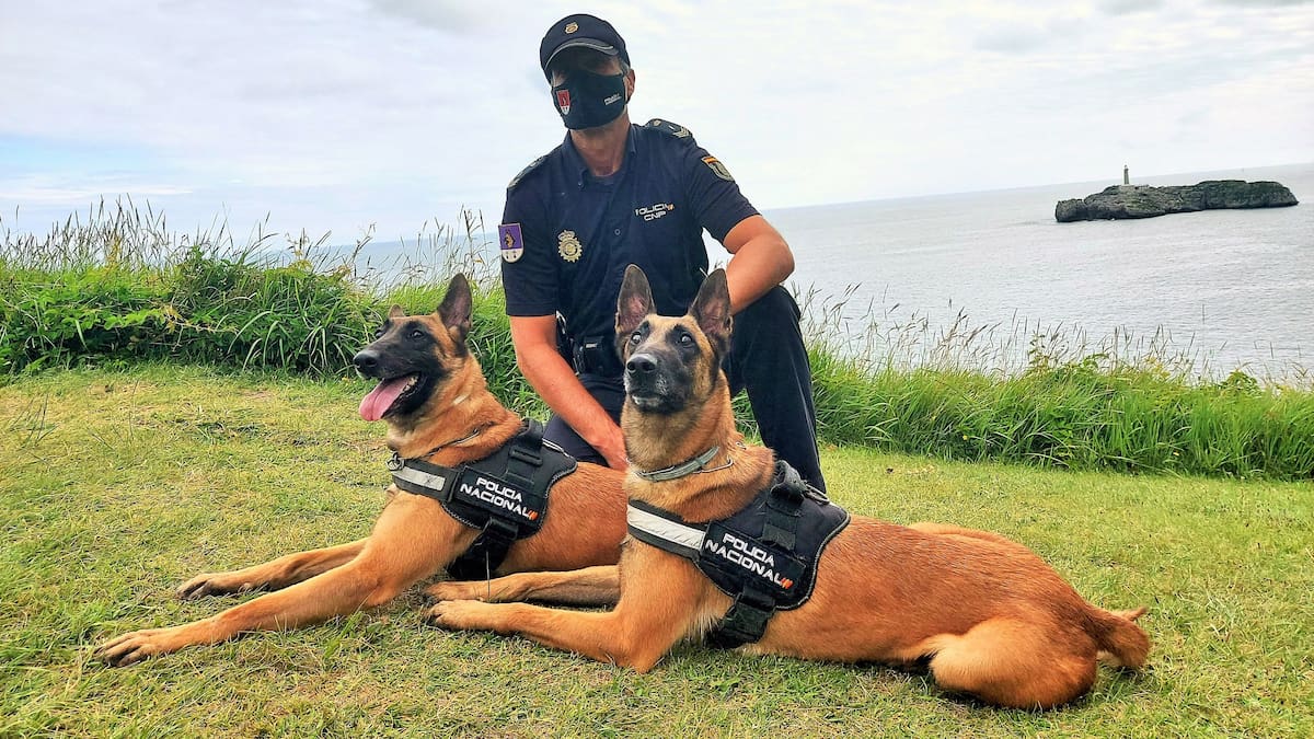 La Policía Nacional colaborará con la carrera solidaria por la ELA con una exhibición canina