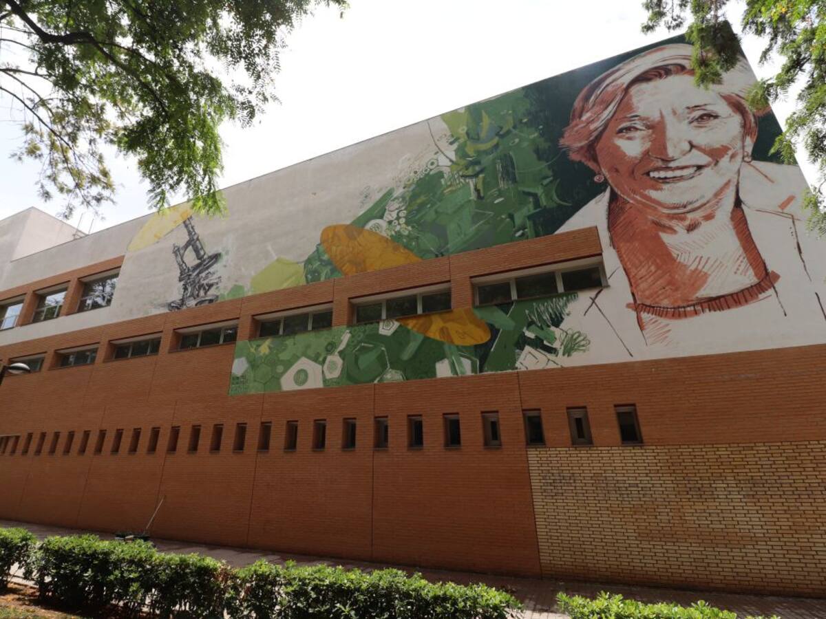 Entrevista Anna Lluch