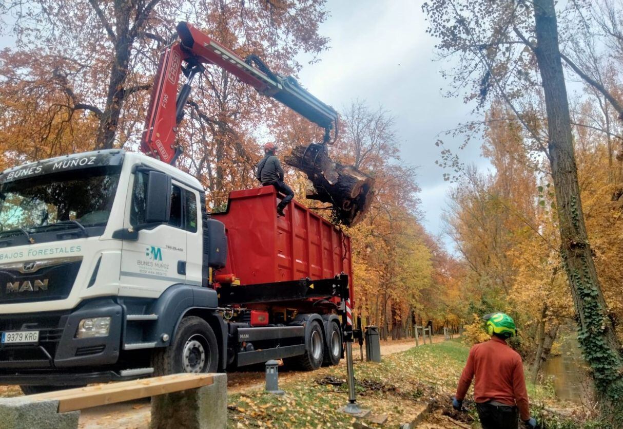 Retiran los árboles afectados por el último temporal en torno del río Eresma