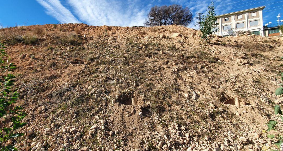 Transición Ecológica reforesta los taludes que hay junto al helipuerto construido en la calle Rafael Laliga Pérez, en la Zona Norte.