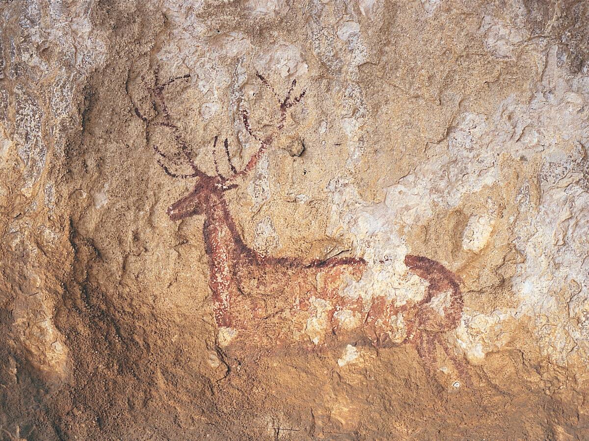 El Parque Cultural del Río Vero acoge el Seminario "Documentación y Conservación del Arte Rupestre: Artes Prehistóricas y Perspectivas Presentes"