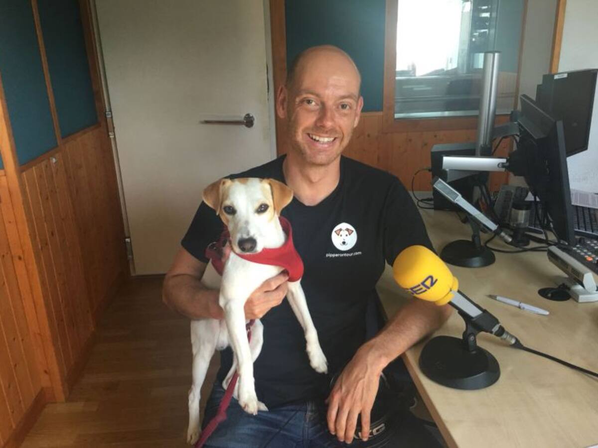 Llega a Santander el primer perro turista