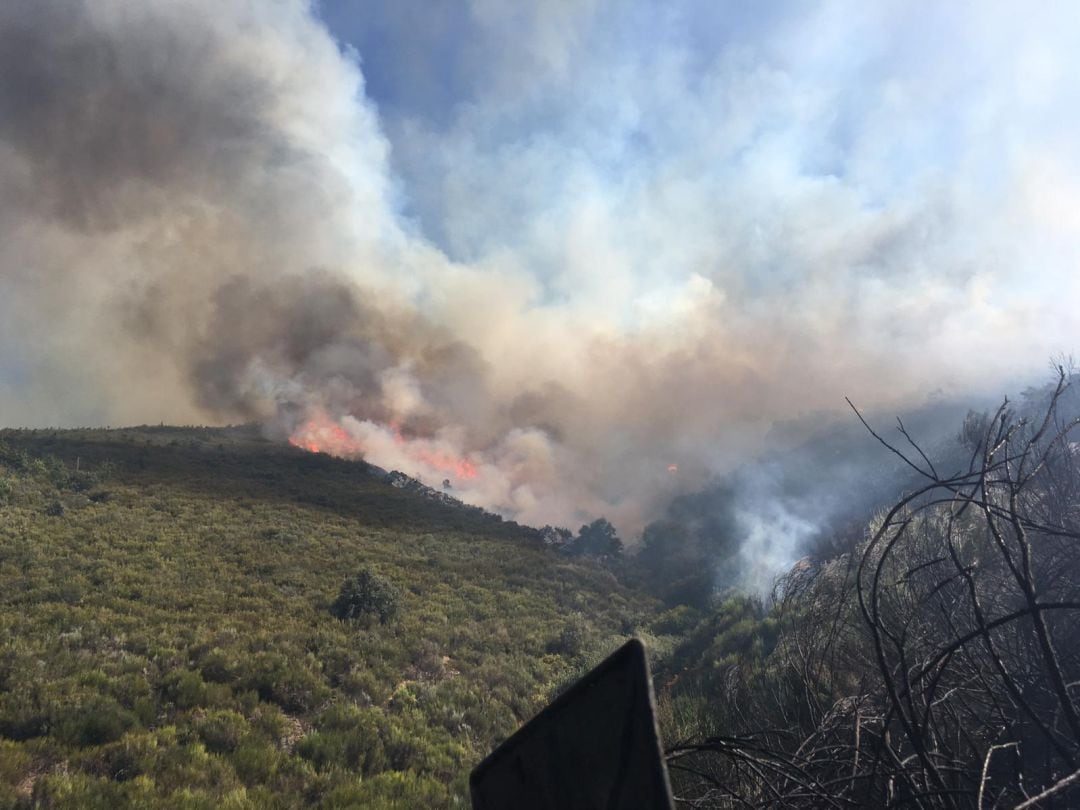 Imagen recogida por las Brif de Tabuyo en el lugar del fuego