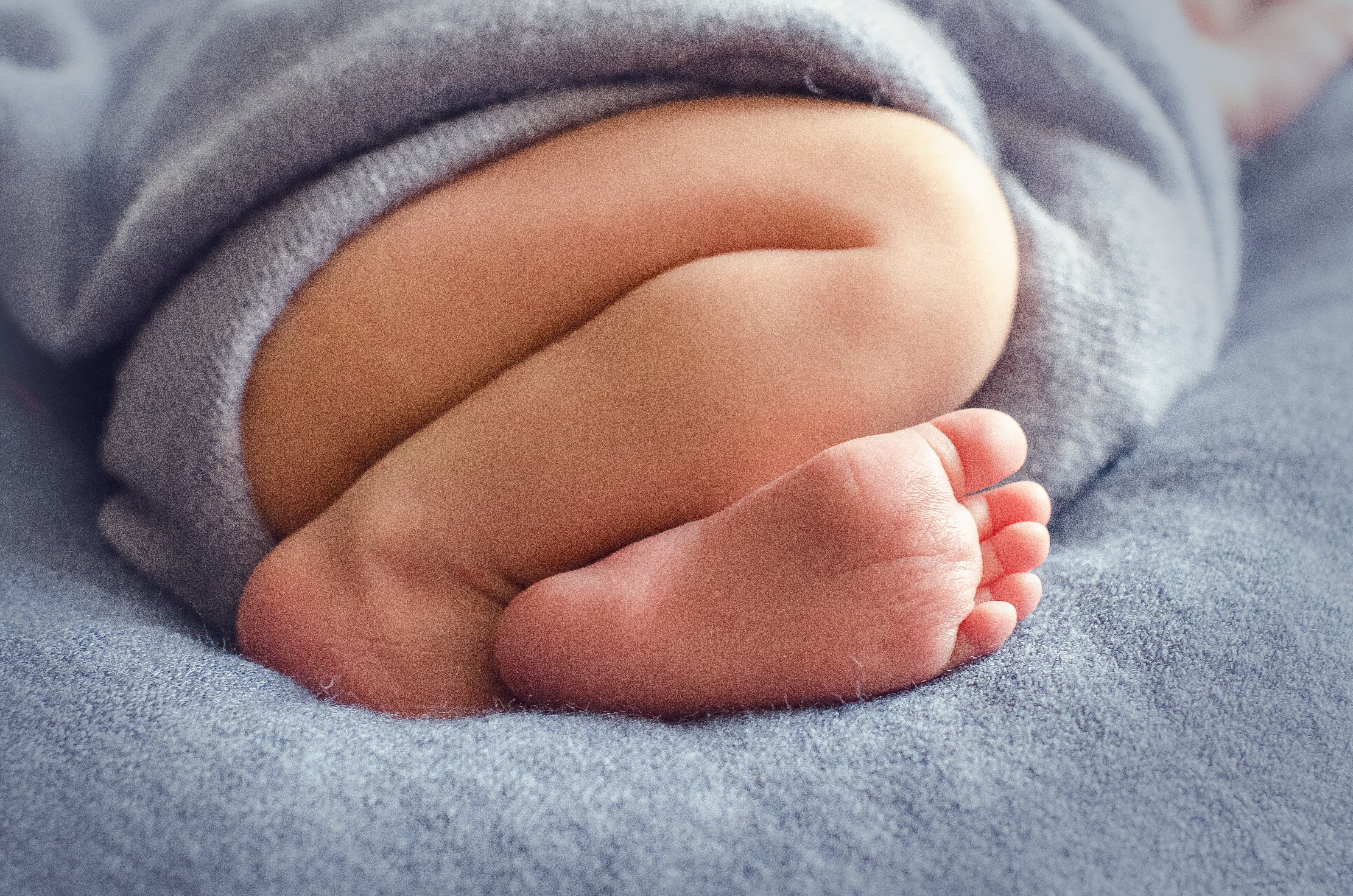 legs of a newborn on a gray-blue background