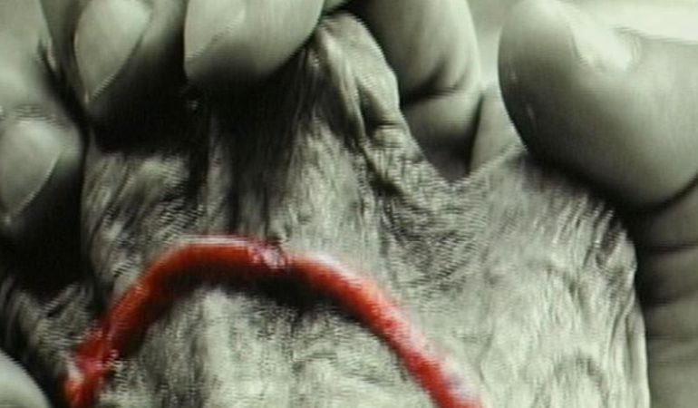 El cubano Ernesto Rancaño expone sus obras  en Fuenlabrada bajo el título ‘La carta que nunca te escribí’