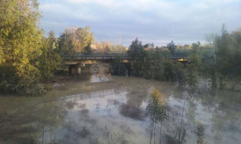 Imagen del río Guadalete tras rebajarse sustancialmente la cota del cauce