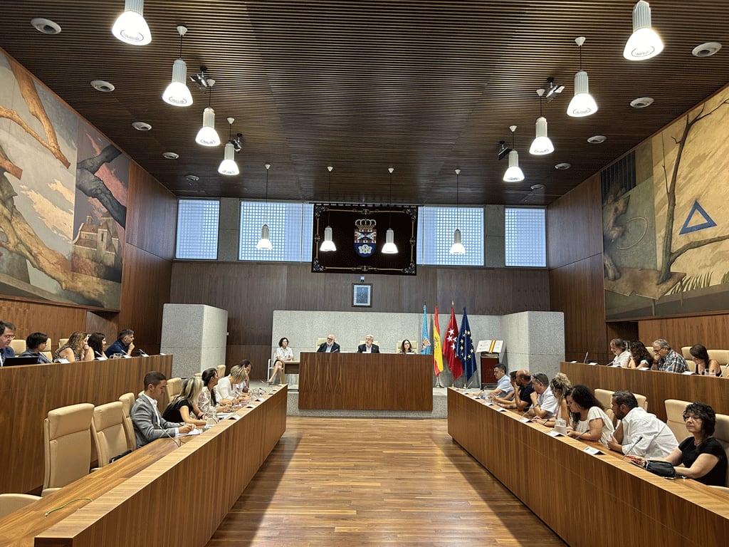 Pleno del Ayuntamiento de Leganés