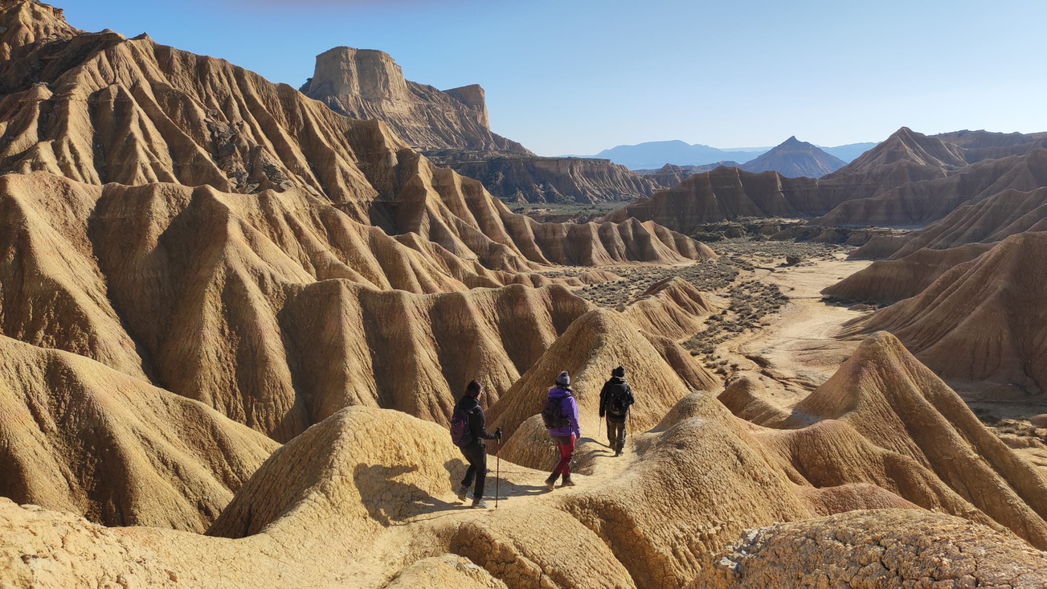 Las Bardenas de Navarra, territorio privilegiado para las aves esteparias