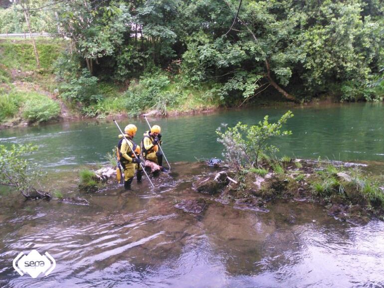 Localizado el cadáver del pescador desaparecido en el río Sella