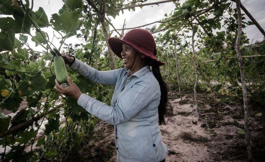 Beneficiaria proyecto de cooperación de la Unión Europea, Siem Reap.