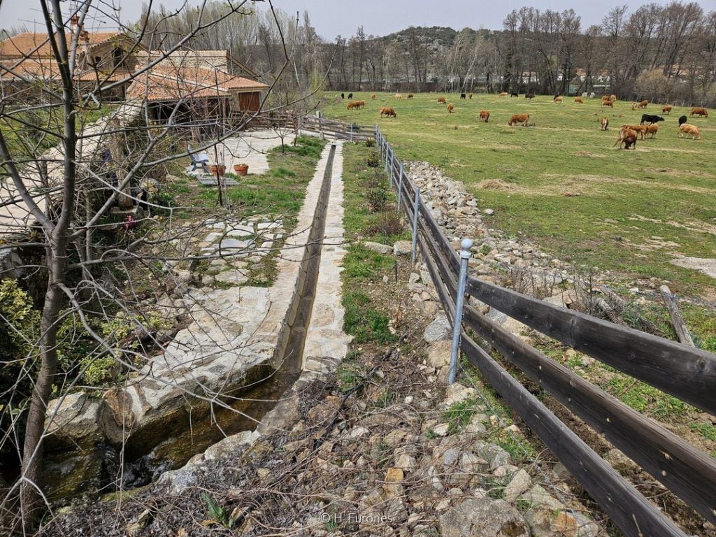 Canalización del agua hacia el molino